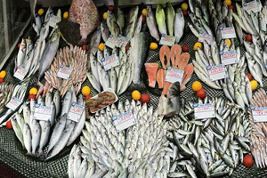 Balık Fiyatlarında Artış