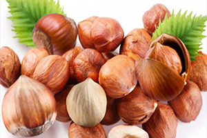 Fındığa Dair Herşey