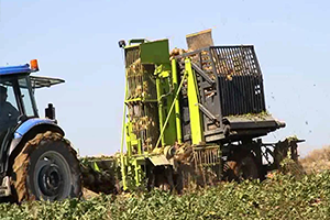 Makineleşme Bereketi