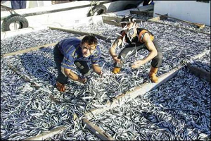 Kasa Yetiştiremediler!