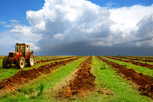 Manisa Birinciliği Kaptırmadı