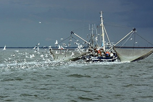 Balık Avcılığından Çıkacaklara Desteklemeler Bugün Başladı