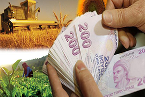 Tarımsal Destek Ödemeleri Başlıyor