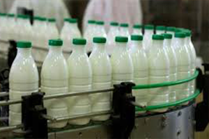 Süt Üretiminde %9,1 Artış Yaşandı