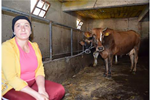 Tereyağı Siparişlerine Yetiştiremiyorlar