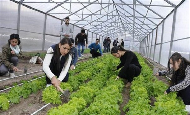 Tarım Liseleri, Geleceğin Tarım ve Ziraat Mühendislerini Yetiştirmeyi Hedefliyor