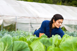 Kadın ve Genç Çiftçilere Tarım Sigortalarında Yüzde 5 İndirim