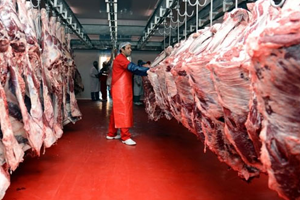 Türkiye Fransa`dan Karkas Et İthal Edecek