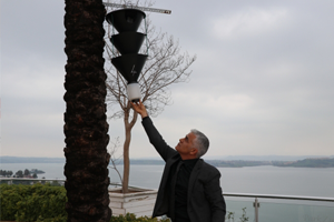 Palmiye Ağaçları İçin Böcek Seferberliği