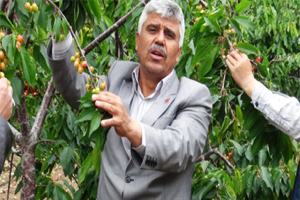 Çiftçiye 150 Milyon TL Hasar Ödemesi Yapılacak