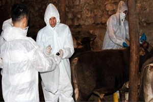 5 Madde de Şarbon Tehdidi