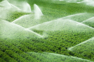 Çiftçinin Su ve Elektrik Borcu Desteklerden Kesilecek!