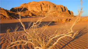 Türkiye, Çölleşmeye Karşı Dünyayı Eğitiyor