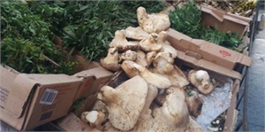 Kardeş Olalım Projesi Irak` a İhracat Kapısını Araladı