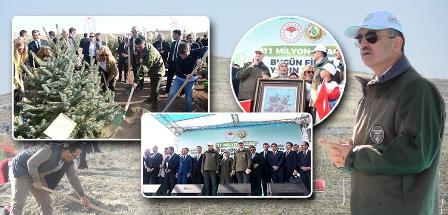 11 Milyon Fidan Toprakla Buluştu