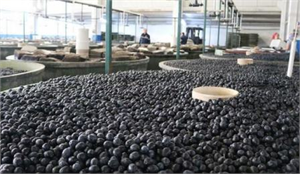 Marmarabirlik`ten Dev Alım Bütçesi