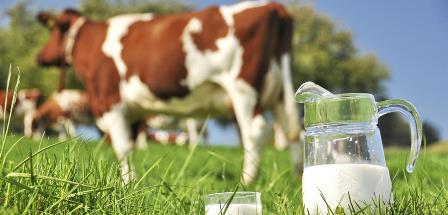 Üreticiye 284 Milyon Liralık Destek Ödemesi