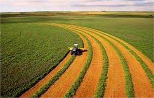 Tarımsal Desteklere Girdi Maliyeti  Ayarı