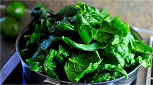 İstanbul`daki gıda zehirlenmesi