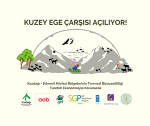 Kazdağı - Edremit Körfezi için Türetim Ekonomisi