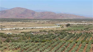 Zeytinyağcıların Afrin Endişesi