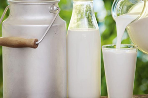 Çiğ Süt Desteklemeleri Bugün Yatıyor!