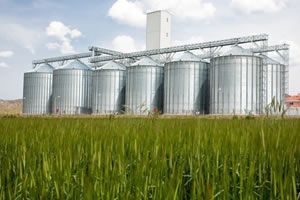 Lisanslı Depoculuğa Destek!