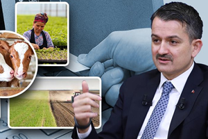 2 Milyar 384 Milyon Liralık Destek Ödemeleri Bugün Başlıyor!