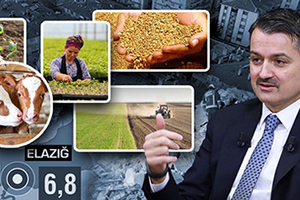 Elazığ ve Malatya`daki Üreticilerin Tarımsal Destekleri Ödeniyor!