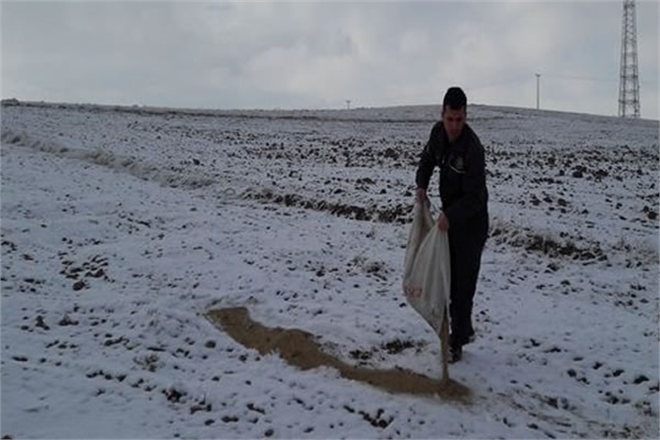 Yaban Hayatına Yem Desteği