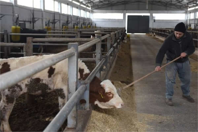 1 Yılda Tam 7 Milyon 580 Bin Dolar Kazandırdı