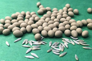 Tohum Kaplama ile Sebzelere Teknolojik Kalkan