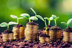 503 Projeye 250 Milyon Hibe