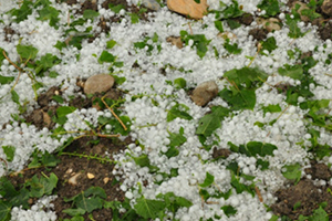 Mersin`de Dolu Yağışı Hayatı Olumsuz Etkiledi