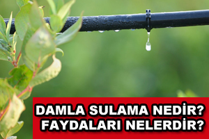 Damla Sulama Nedir? Faydaları Nelerdir?