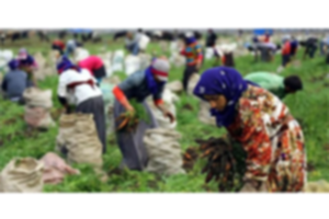 Mevsimlik Tarım İşçileri İçin `Koronavirüs` Tedbiri