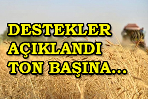 Desteklemeler Açıklandı! Ton Başına...