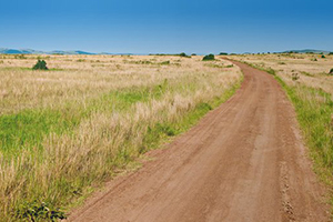 Hadim`de Bahçe Yolları Bahara Hazırlanıyor