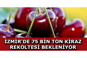 İzmir`de 75 Bin Ton Kiraz Rekoltesi Bekleniyor