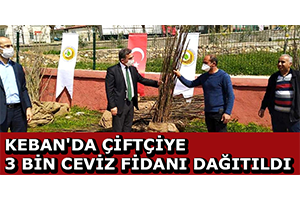 Keban`da Çiftçiye 3 Bin Ceviz Fidanı Dağıtıldı