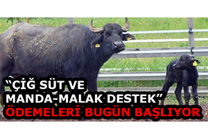 `Çiğ Süt ve Manda-Malak Destek` Ödemeleri Bugün Başlıyor