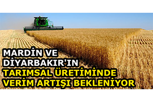 Mardin Ve Diyarbakır`ın Tarımsal Üretiminde Verim Artışı Bekleniyor