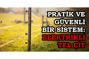 Pratik Ve Güvenli Bir Sistem: Elektrikli Tel Çit
