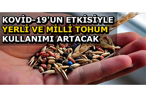 Kovid-19`un Etkisiyle Yerli ve Milli Tohum Kullanımı Artacak