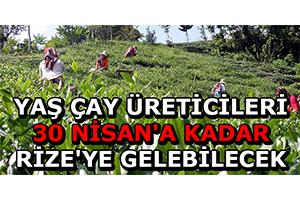 Yaş Çay Üreticileri 30 Nisan`a Kadar Rize`ye Gelebilecek
