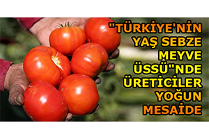 `Türkiye`nin Yaş Sebze Meyve Üssü`nde Üreticiler Yoğun Mesaide