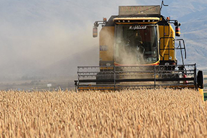 Tarım Sigortaları Havuzu 2019`da 1,3 Milyar TL Hasar Ödemesi Yaptı