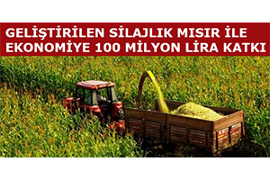 Geliştirilen Silajlık Mısır ile Ekonomiye 100 Milyon Lira Katkı