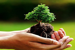 Ağaçlandırmada Köylere Hibe Desteği