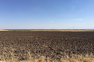 18 - 20 Yaş Arasındakilere `Sokağa Çıkma Yasağı`yla İlgili Ek Genelge